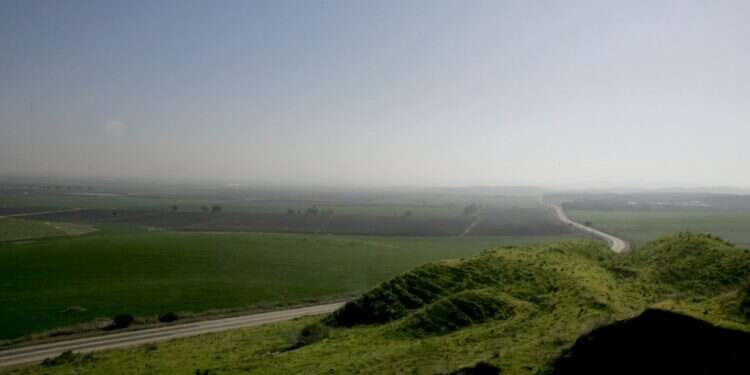 ישראל 2040 עלולה לחסל את מעט השטחים הירוקים שנותרו בה