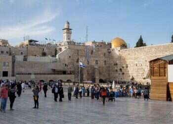 מפגר זה לא קללה