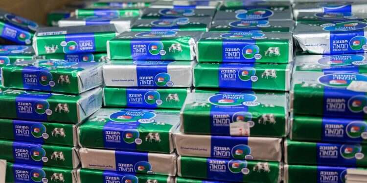 צילום: שאטרסטוק