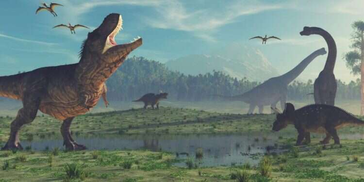 צילום: שאטרסטוק