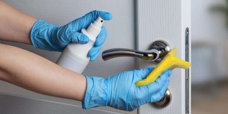 צילום: שאטרסטוק בזכות המצרים הקדמונים: נמצא חומר החיטוי המושלם נגד חיידקים ונגיפים