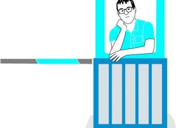 מה פגים רוצים