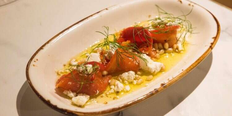 צילום: תמר פרנק