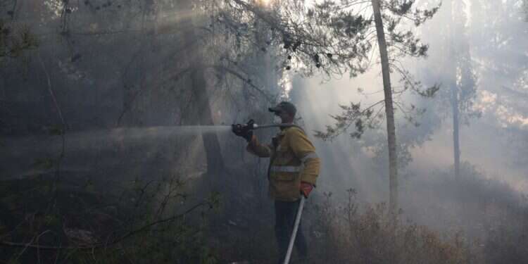מאמצי הכיבוי בהרי ירושלים נמשכים. צילום: EPA השרפה בהרי ירושלים: האש התחדשה כעת סמוך לאבן ספיר