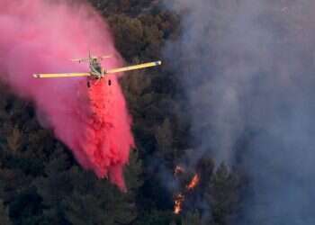 השרפות בהרי ירושלים: "אי אפשר לסמוך על הנס כל פעם"