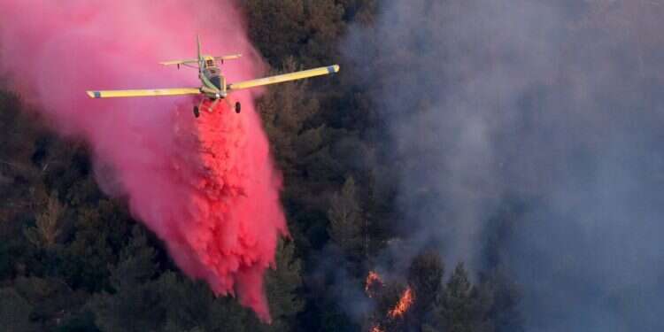 מטוס כיבוי מעל יער ירושלים. צילום: EPA השרפות בהרי ירושלים: "אי אפשר לסמוך על הנס כל פעם"