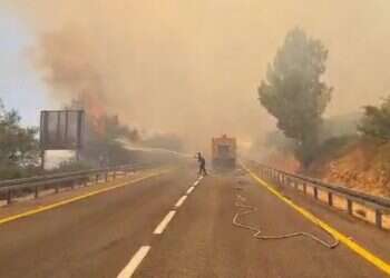 נציב הכבאות על השריפה בשורש: "זה כנראה מעשה ידי אדם"