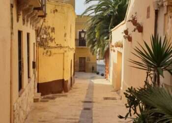 לבקשת יו"ר הכנסת מיקי לוי שפי פז לא תורשה להיכנס למשכן