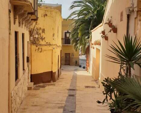 לבקשת יו"ר הכנסת מיקי לוי שפי פז לא תורשה להיכנס למשכן