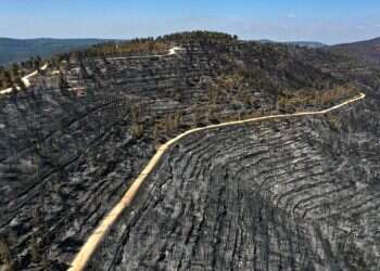 ח"כ מעוז לבנט: העבר את חקירת השריפה בהרי ירושלים לשב"כ