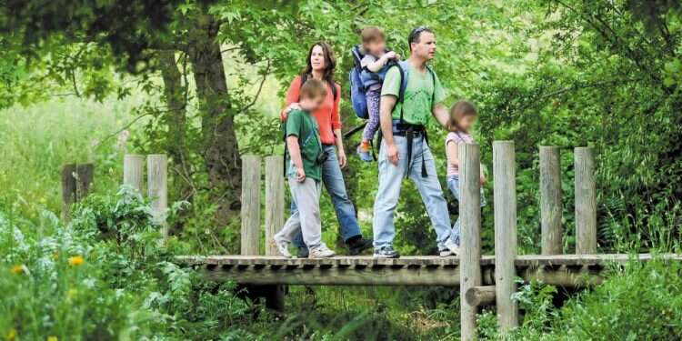 צילום: משה שי - פלאש 90