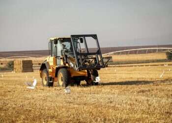לבקשת יו"ר הכנסת מיקי לוי שפי פז לא תורשה להיכנס למשכן