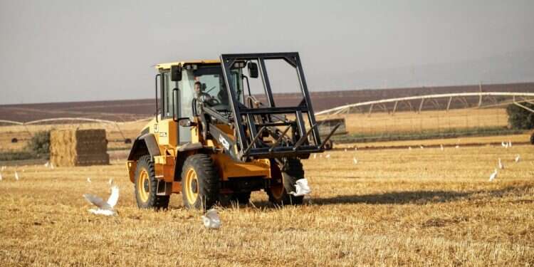 לבקשת יו"ר הכנסת מיקי לוי שפי פז לא תורשה להיכנס למשכן