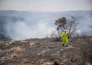 מה מדינת ישראל עושה (או לא עושה) כדי להילחם במציתים?