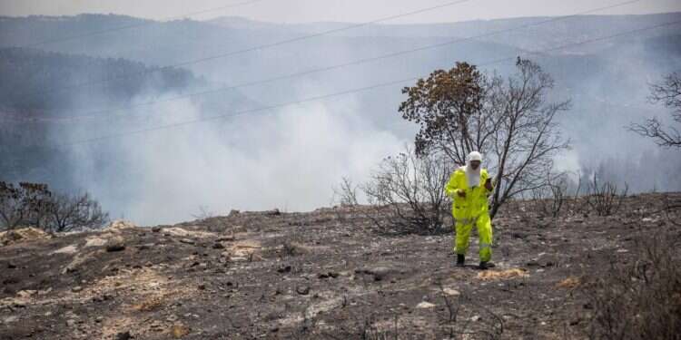 שטחים שרופים ליד רמת־רזיאל, השבוע. צילום: יונתן זינדל, פלאש 90 מה מדינת ישראל עושה (או לא עושה) כדי להילחם במציתים?