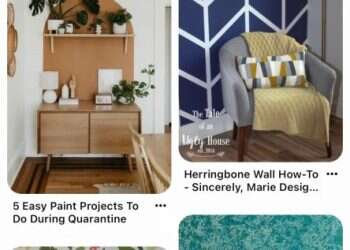 לבקשת יו"ר הכנסת מיקי לוי שפי פז לא תורשה להיכנס למשכן