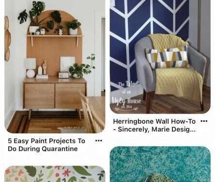 לבקשת יו"ר הכנסת מיקי לוי שפי פז לא תורשה להיכנס למשכן