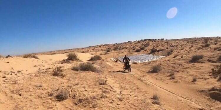 צילום: תנועת רגבים לאחר דו"ח מבקר המדינה: תנועת רגבים חושפת חממות סמים בנגב