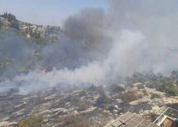 שריפה באלפי מנשה. צילום: דוברות רשות הכיבוי שריפה בסמוך לאלפי מנשה: תושבים פונו. מטוסי כיבוי הוזנקו