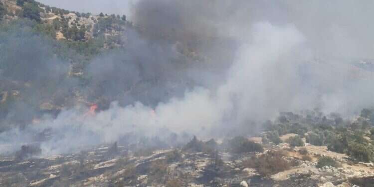 שריפה באלפי מנשה. צילום: דוברות רשות הכיבוי שריפה בסמוך לאלפי מנשה: תושבים פונו. מטוסי כיבוי הוזנקו