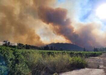 שריפת ענק בהרי ירושלים: איתנים, רמת רזיאל וכסלון פונו לחלוטין מתושבים