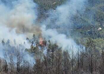 האש בהרי ירושלים: שר החוץ יאיר לפיד פנה ליוון בבקשה לסיוע