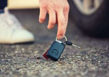 השבת אבידה. צילום: שאטרסטוק כלום לא עצוב, אך איך תוכל להתעלם?