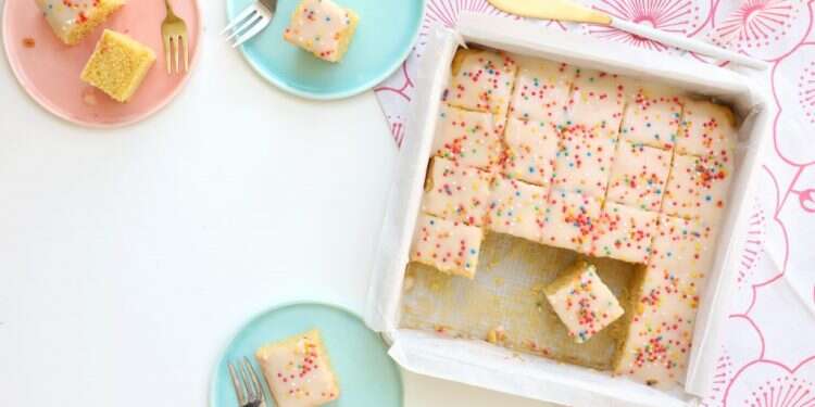 עוגת מלון. צילום: אפרת ליכטנשטט לבקשת יו"ר הכנסת מיקי לוי שפי פז לא תורשה להיכנס למשכן