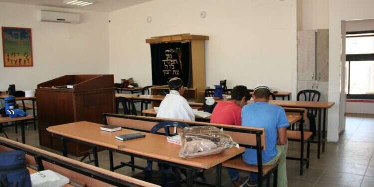 צילום: שמואל אדלמן