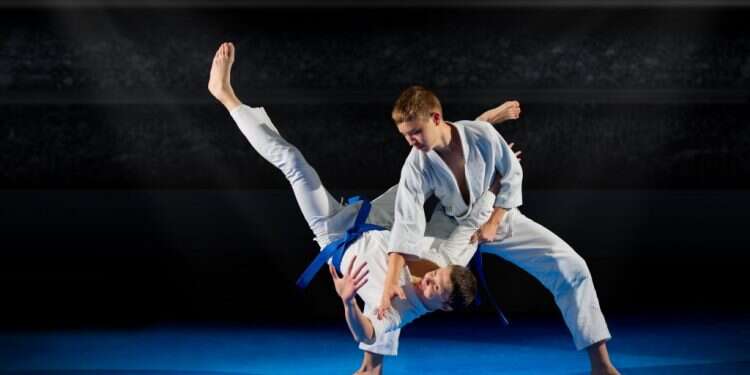 שאטרסטוק ג'ודו בסלון