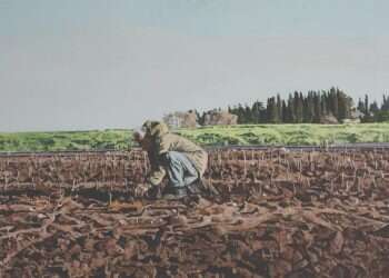 לבקשת יו"ר הכנסת מיקי לוי שפי פז לא תורשה להיכנס למשכן