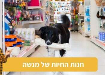 בטיטו מנשה או מנשה בטיטו?