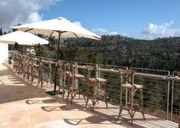 יקב קסטל. צילום: אלעד ברמי בילויים בחופש הגדול: לא לילדים בלבד