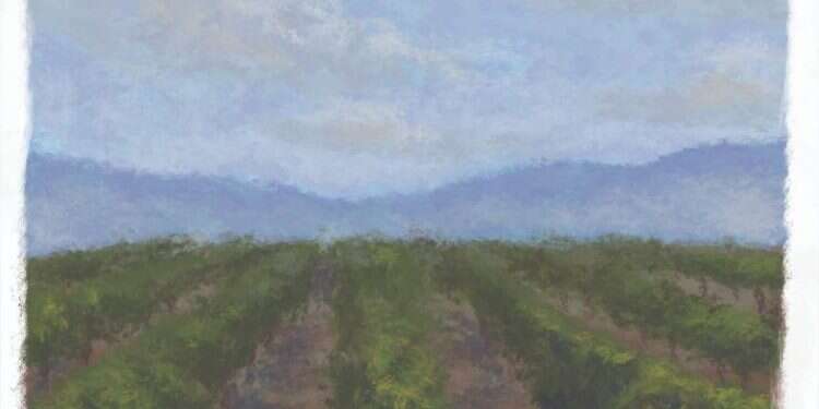 איור: מנחם הלברשטט