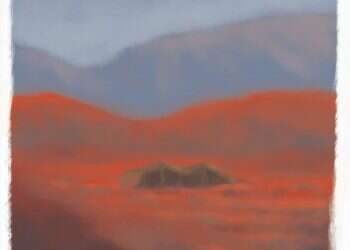 לבקשת יו"ר הכנסת מיקי לוי שפי פז לא תורשה להיכנס למשכן