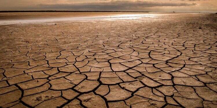 סדקים. שאטרסטוק סדקים