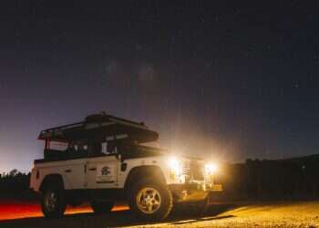 גלידה, ספארי ושלג: פעילויות אחרונות לאוגוסט שנשאר