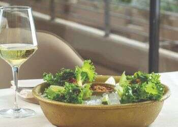 לבקשת יו"ר הכנסת מיקי לוי שפי פז לא תורשה להיכנס למשכן