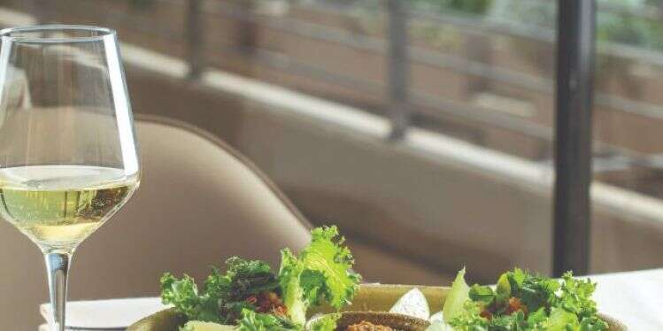 לבקשת יו"ר הכנסת מיקי לוי שפי פז לא תורשה להיכנס למשכן