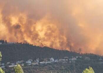 ח"כ מעוז לבנט: העבר את חקירת השריפה בהרי ירושלים לשב"כ