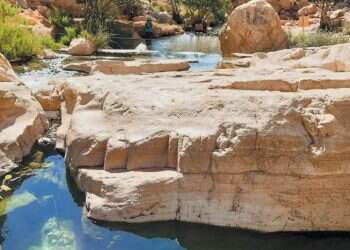 לבקשת יו"ר הכנסת מיקי לוי שפי פז לא תורשה להיכנס למשכן