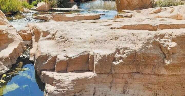 עין פרת. צילום: יהושוע כרמל לבקשת יו"ר הכנסת מיקי לוי שפי פז לא תורשה להיכנס למשכן