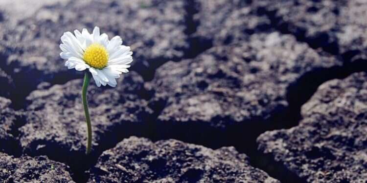 צילום: שאטרסטוק