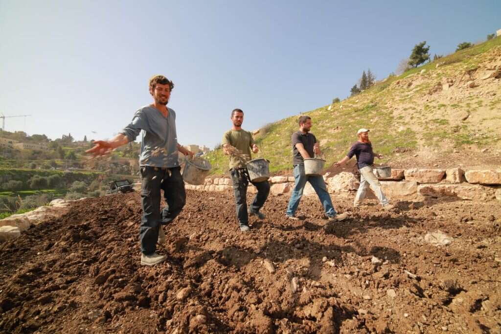 חווה חקלאית. צילום: קובי הראתי