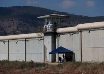 הסרט על שלמה בר – כמו צמח בר במוזיקה העכשווית