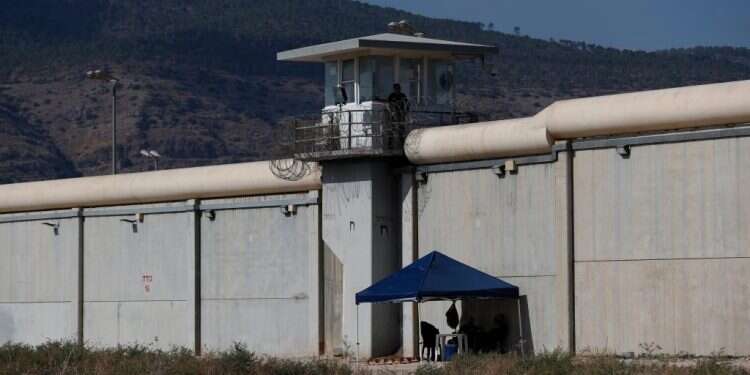 הסרט על שלמה בר – כמו צמח בר במוזיקה העכשווית