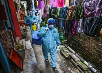 המגפה החדשה? חשש להתפרצות אלימה של נגיף הניפה בהודו