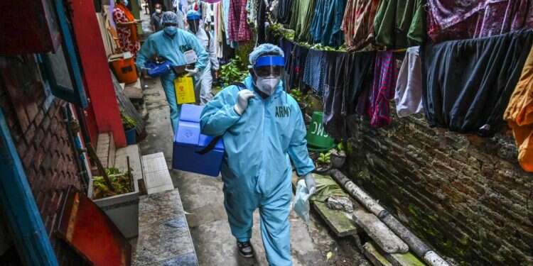 המגפה החדשה? חשש להתפרצות אלימה של נגיף הניפה בהודו