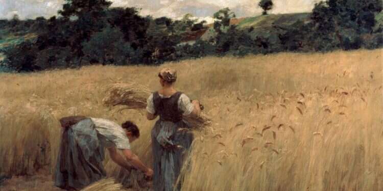 בין חוק השבות לרות המואבייה: הטקטיקה של בג"ץ