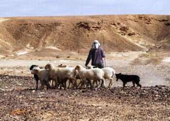 עוד לא יודעים מה לעשות בחול המועד? קבלו שלל הצעות לסוכות